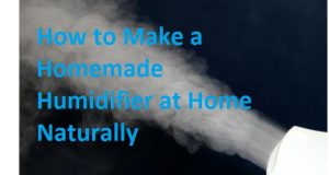 home-humidifier-2