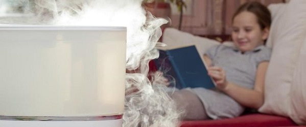 Warm or Cool Mist Humidifier for Croup?