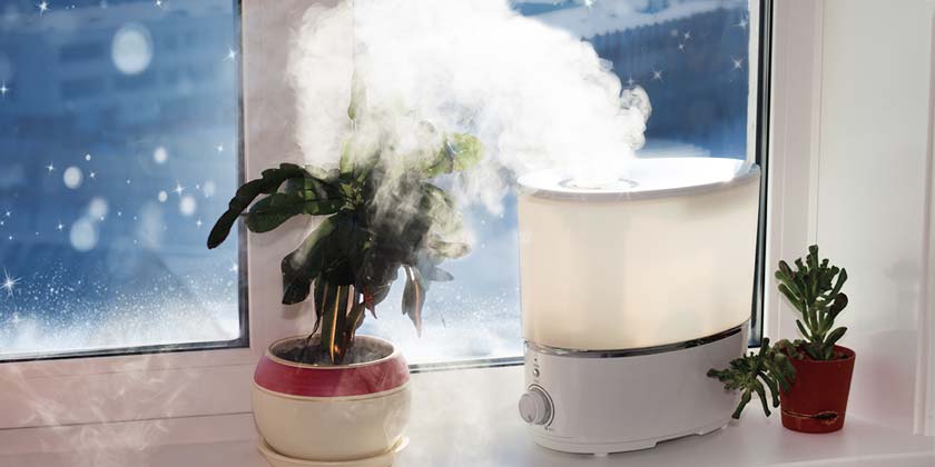 humidifier-in-winter