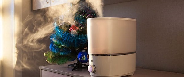 The Best Quiet Mist Humidifiers