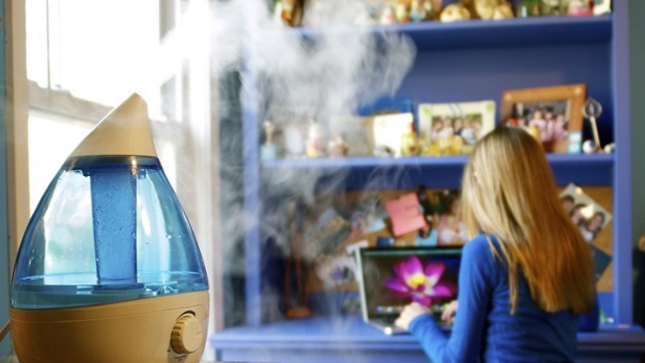 Which Humidifier Is Best For Winter An Extensive Study On