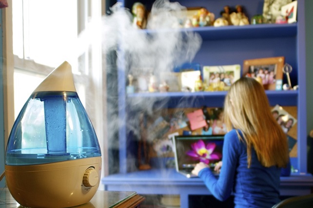 Best Humidifier for Winter: Size, Features & Control
