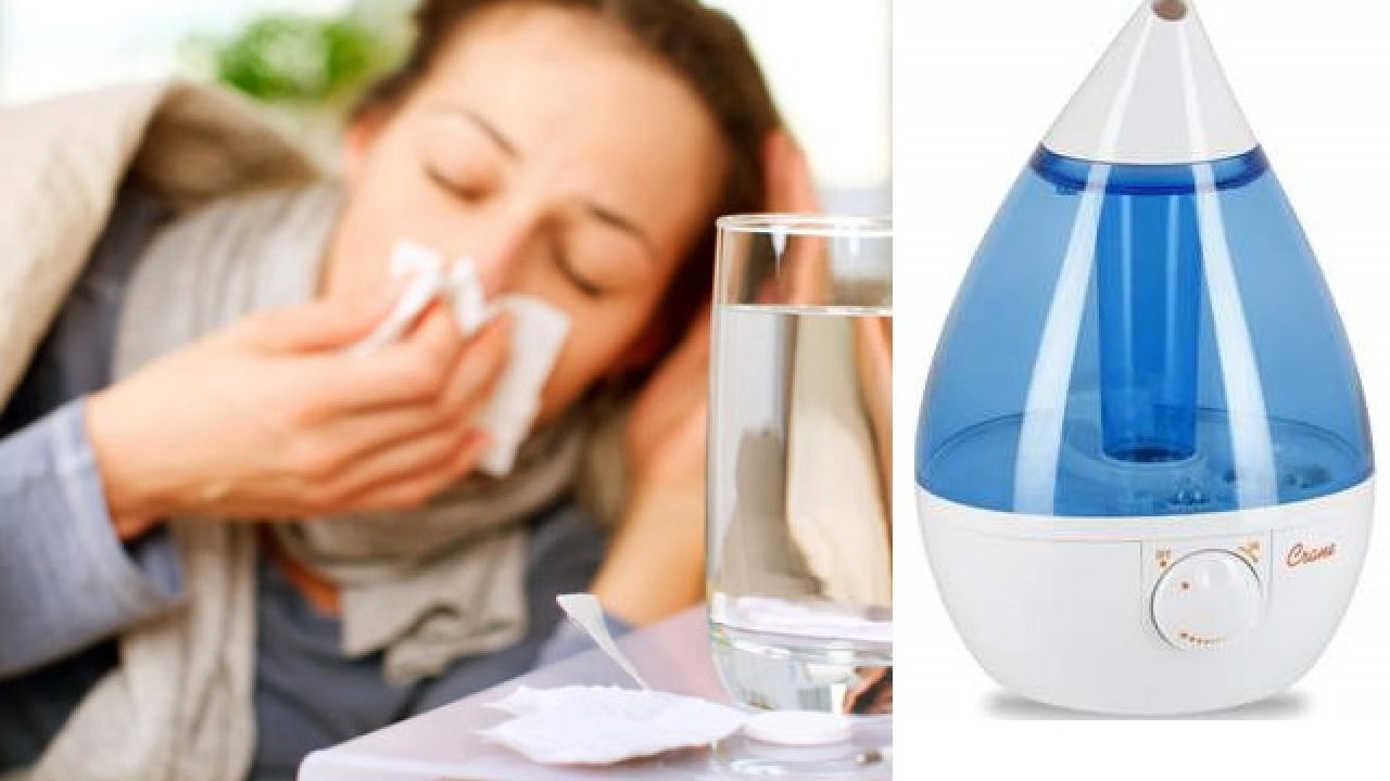 best humidifier for dry house