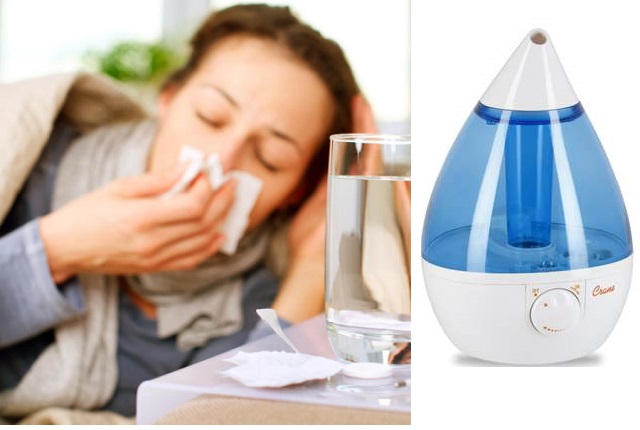 Best Humidifier for Cough 2022