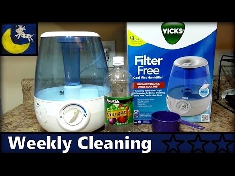 Humidifier Cleaning Frequency Guide: Stay Mold-Free