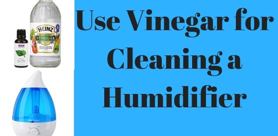 Use Vinegar For Cleaning A Humidifier Mist Humidifier Guide